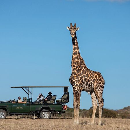 Safari Plains Mabula Game Reserve Exterior foto