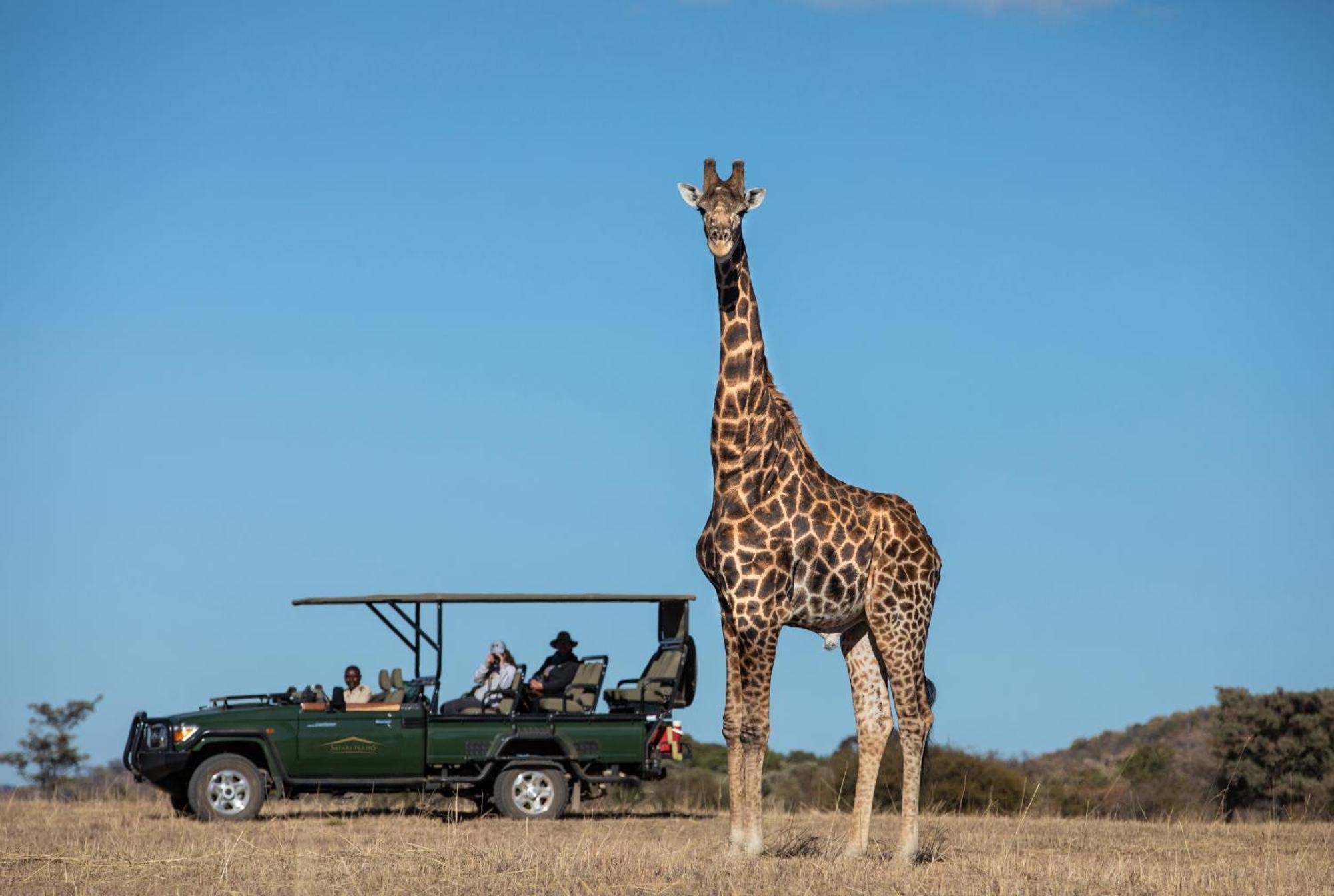 Safari Plains Mabula Game Reserve Exterior foto