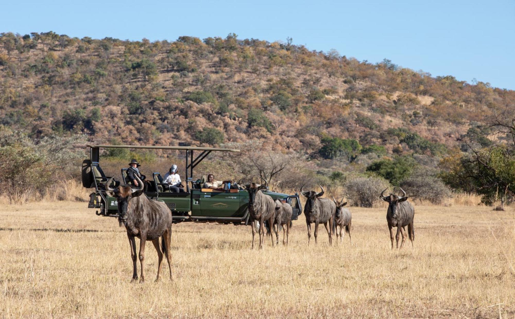 Safari Plains Mabula Game Reserve Exterior foto