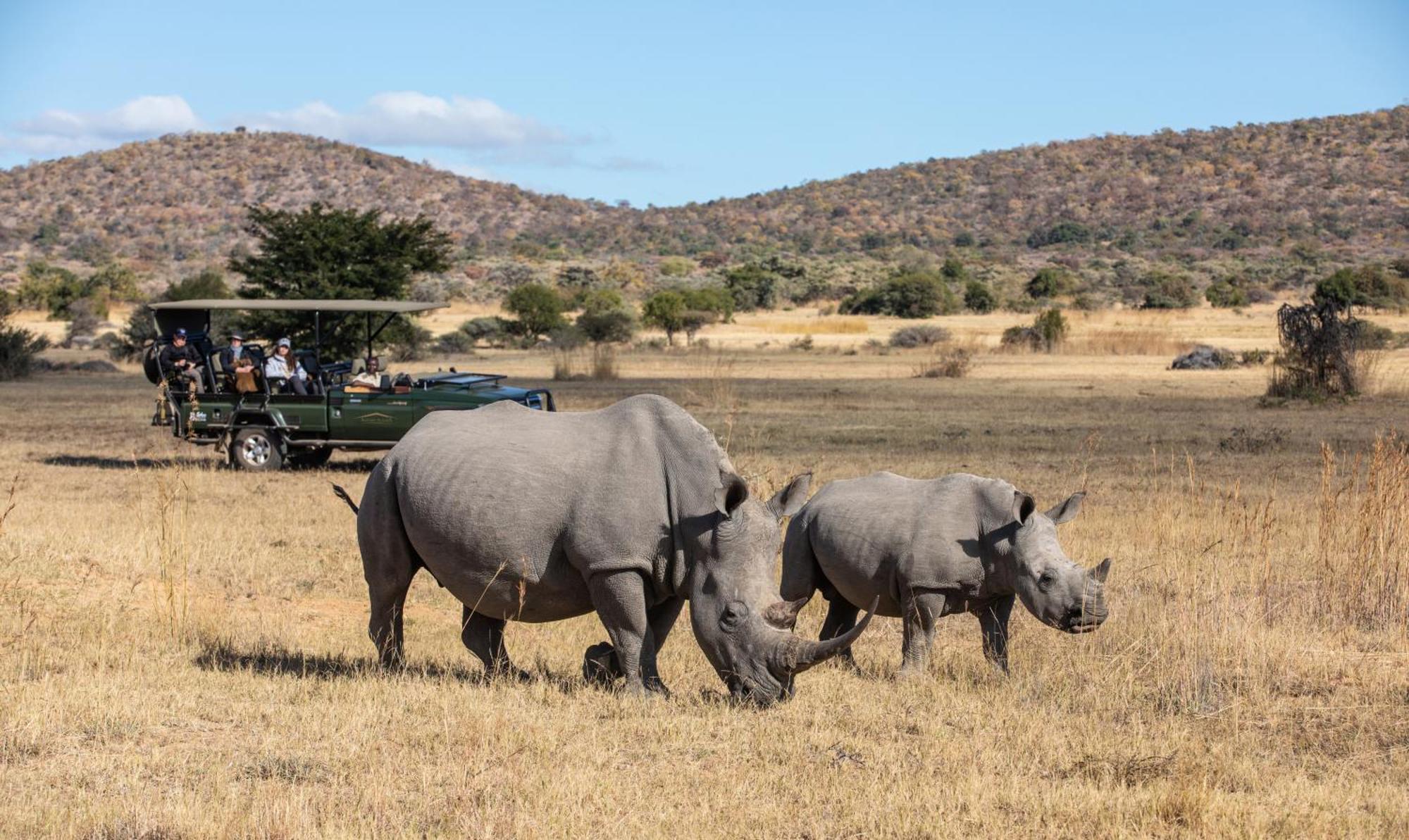 Safari Plains Mabula Game Reserve Exterior foto